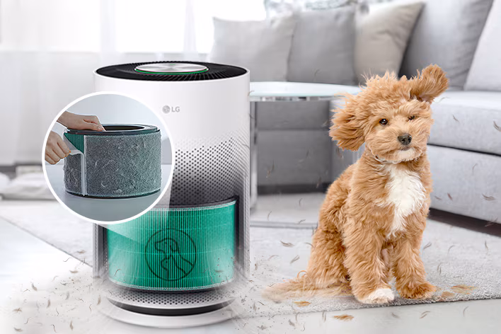 Better air. Less pet hair